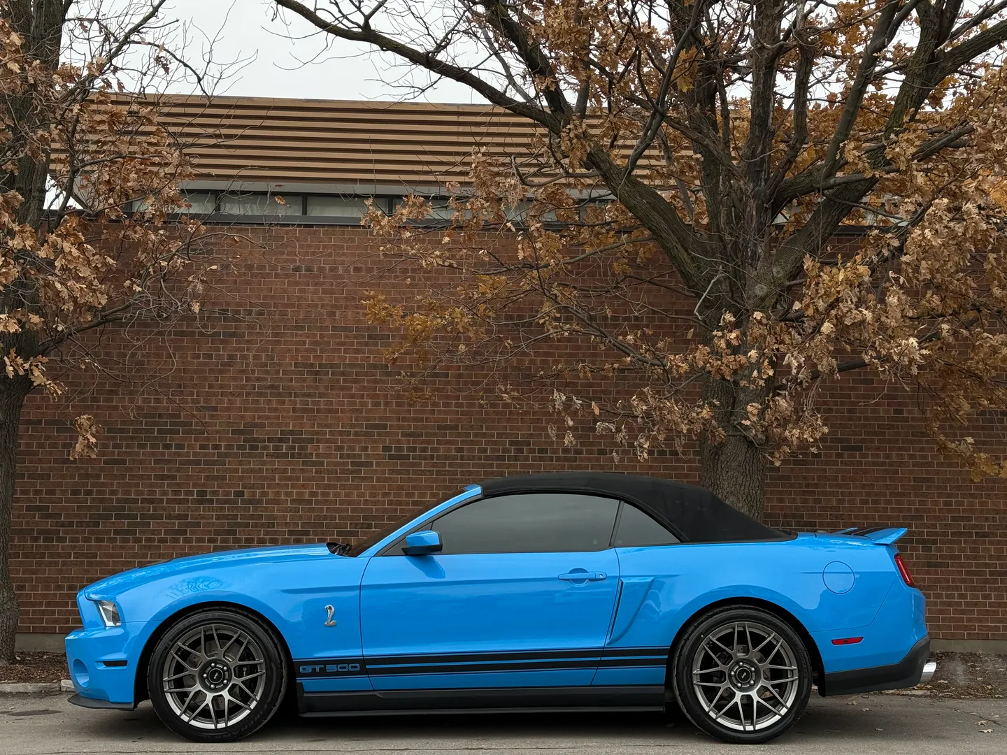 Ford Mustang Shelby GT500 6 Speed Manual Convertible — photo 44