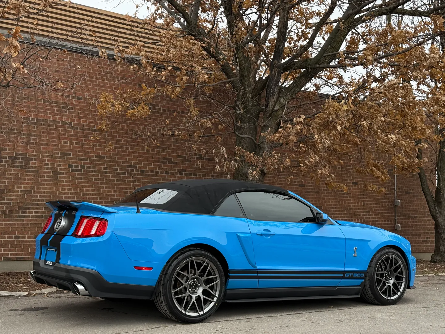 Ford Mustang Shelby GT500 6 Speed Manual Convertible — photo 93
