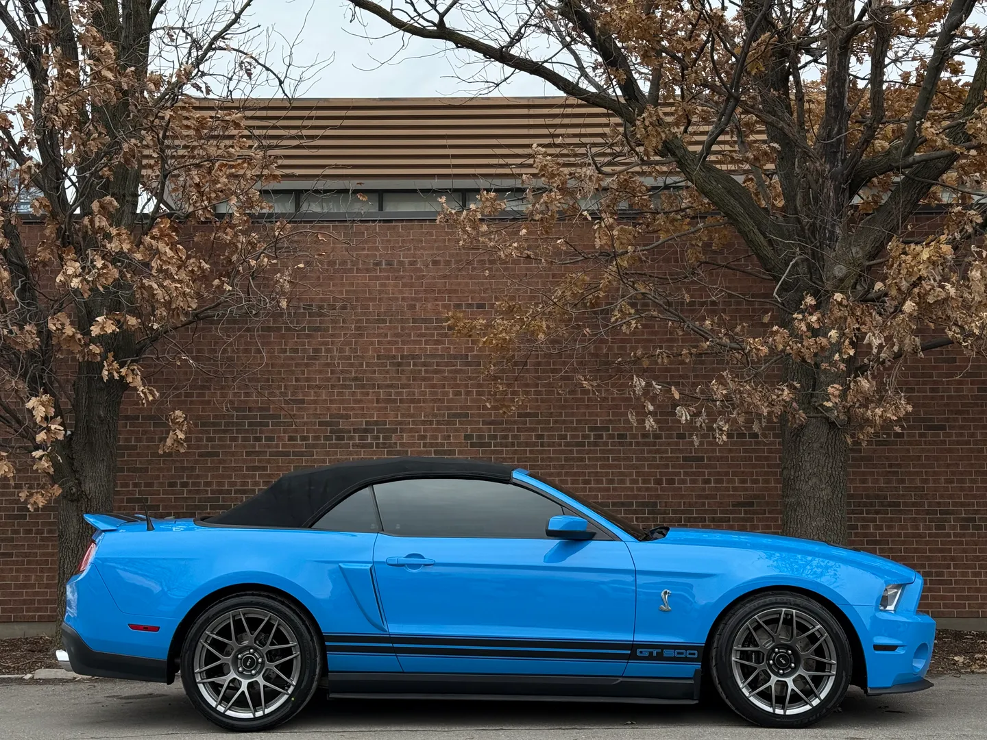 Ford Mustang Shelby GT500 6 Speed Manual Convertible — photo 94