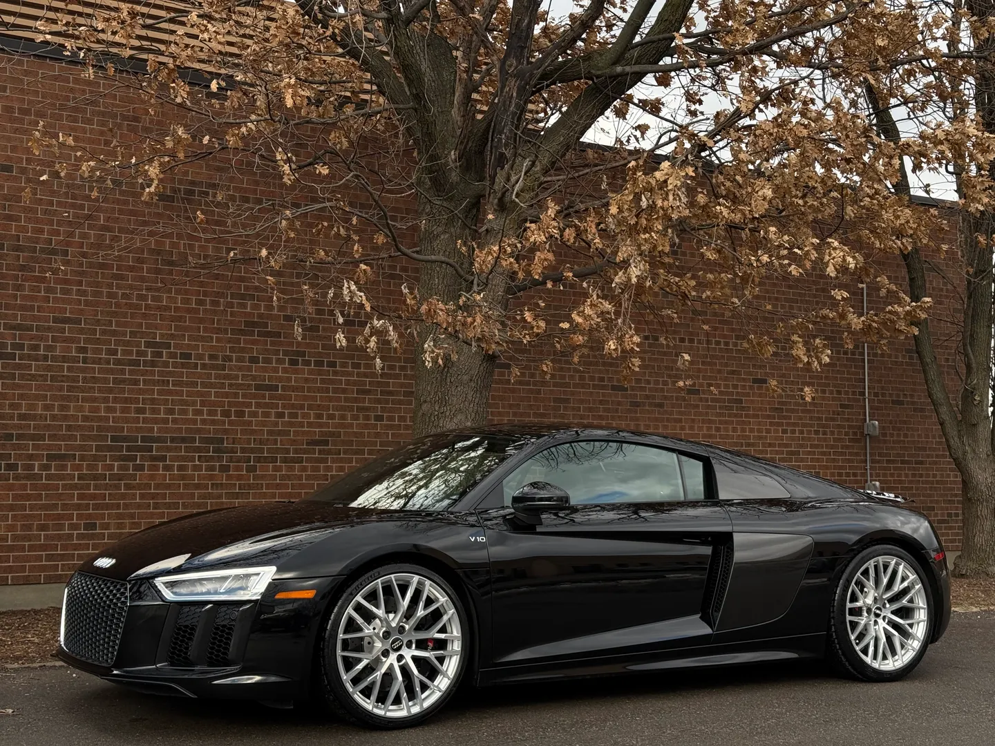 Audi R8 V10 Quattro Coupe — photo 10