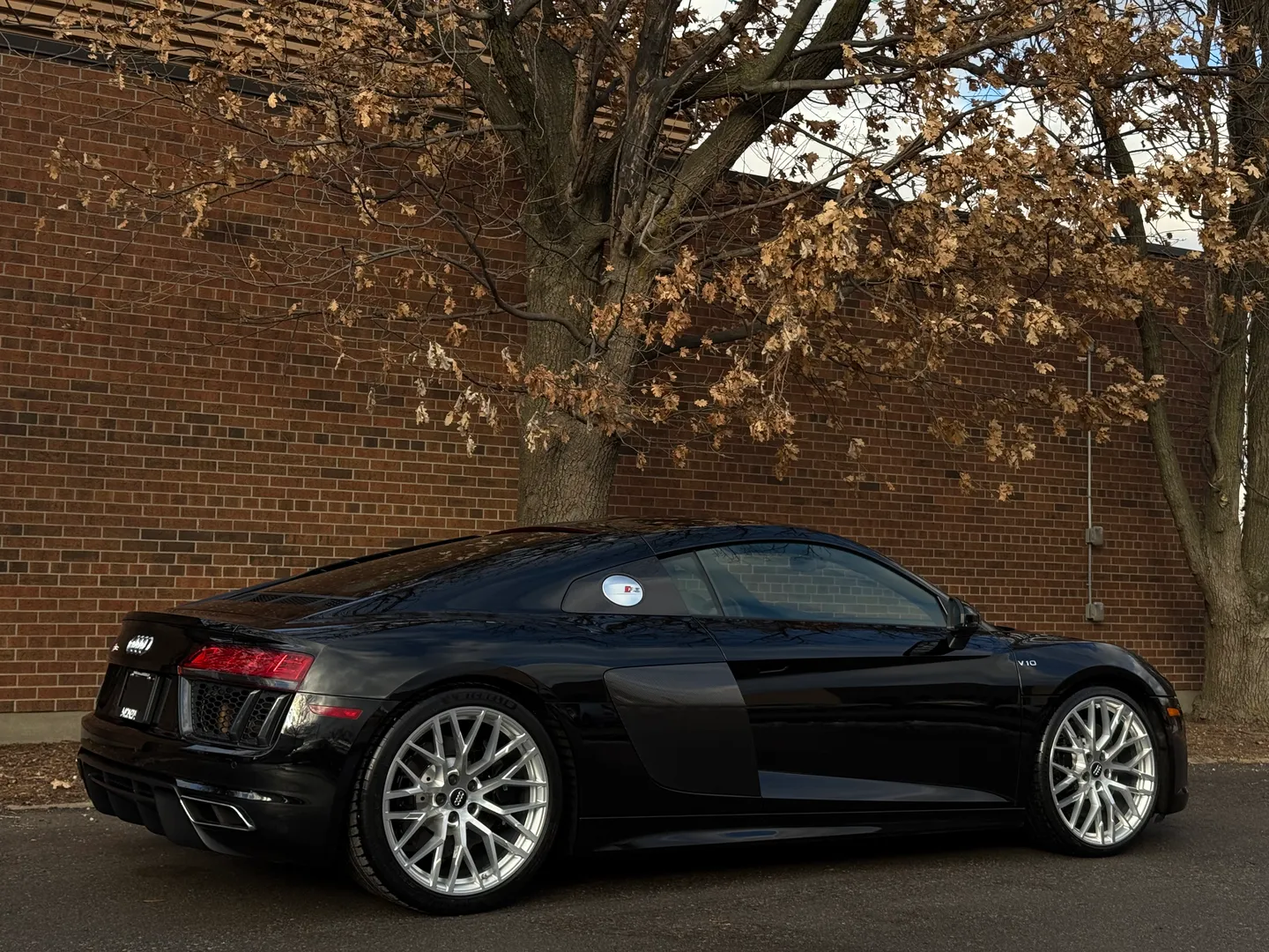 Audi R8 V10 Quattro Coupe — photo 86