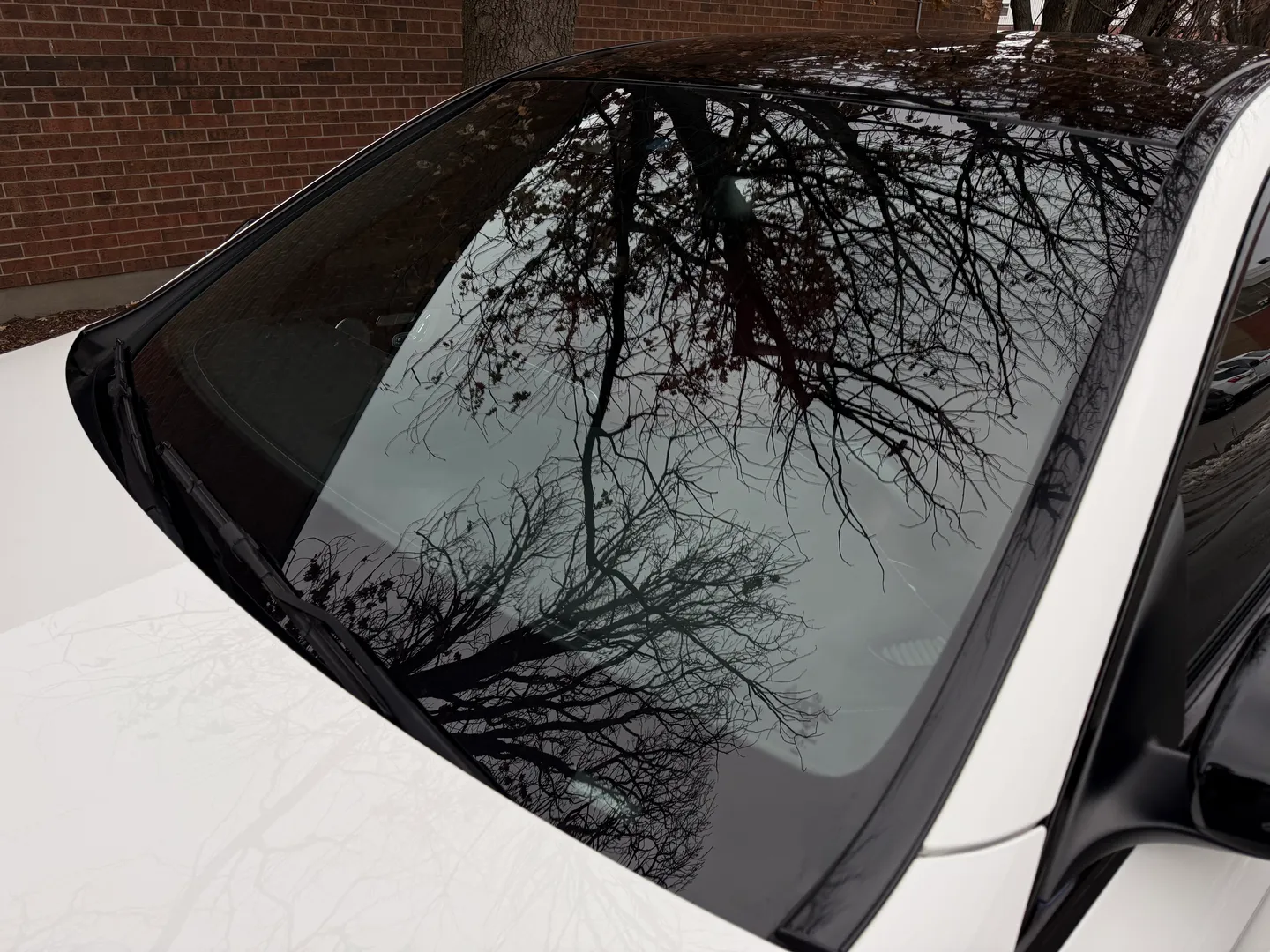 Mercedes Benz C43 AMG Sedan — photo 17