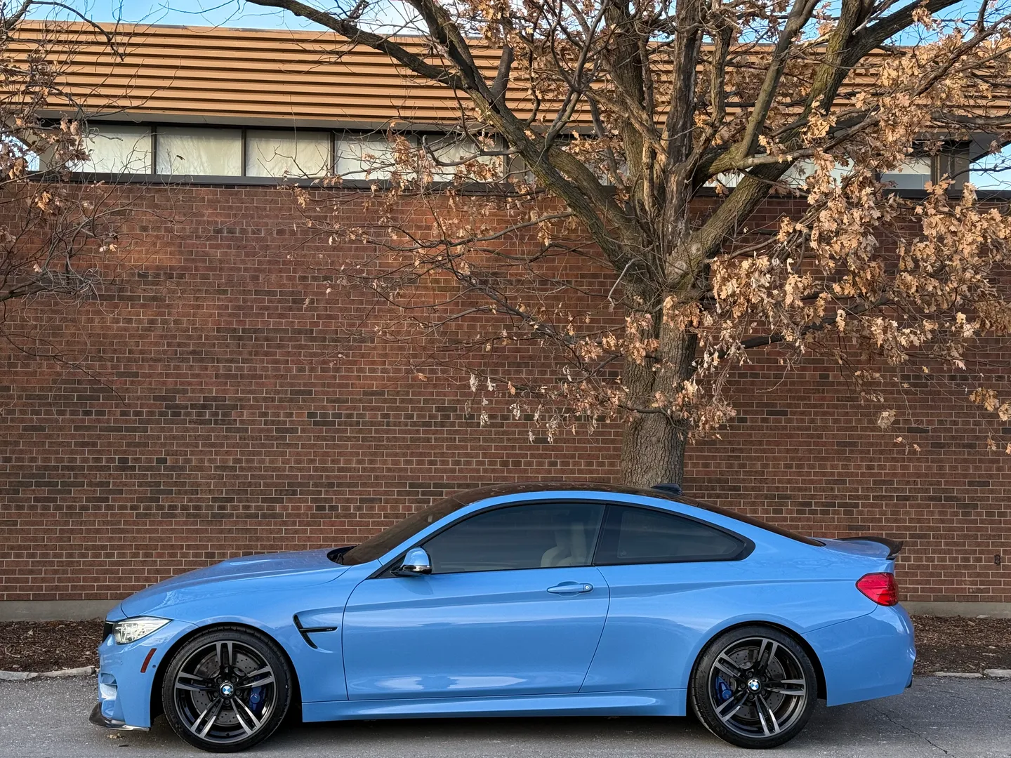 BMW M4 DCT Coupe M Performance Exhaust — photo 10
