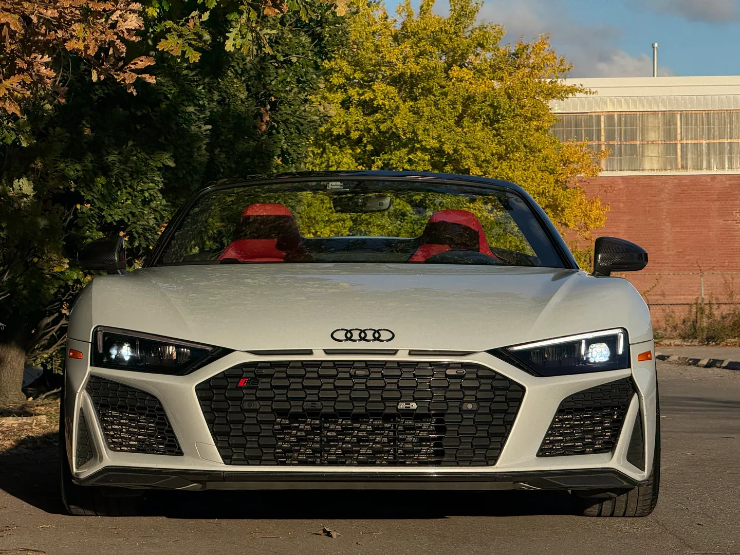 Audi R8 V10 Performance Plus Spyder — photo 6