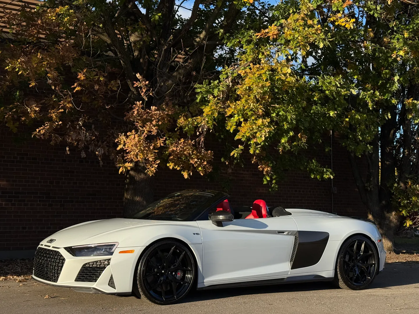 Audi R8 V10 Performance Plus Spyder — photo 8