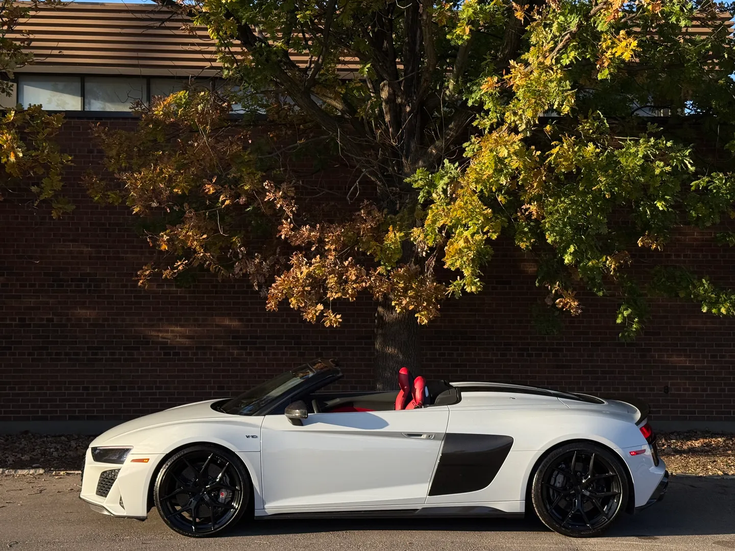 Audi R8 V10 Performance Plus Spyder — photo 9