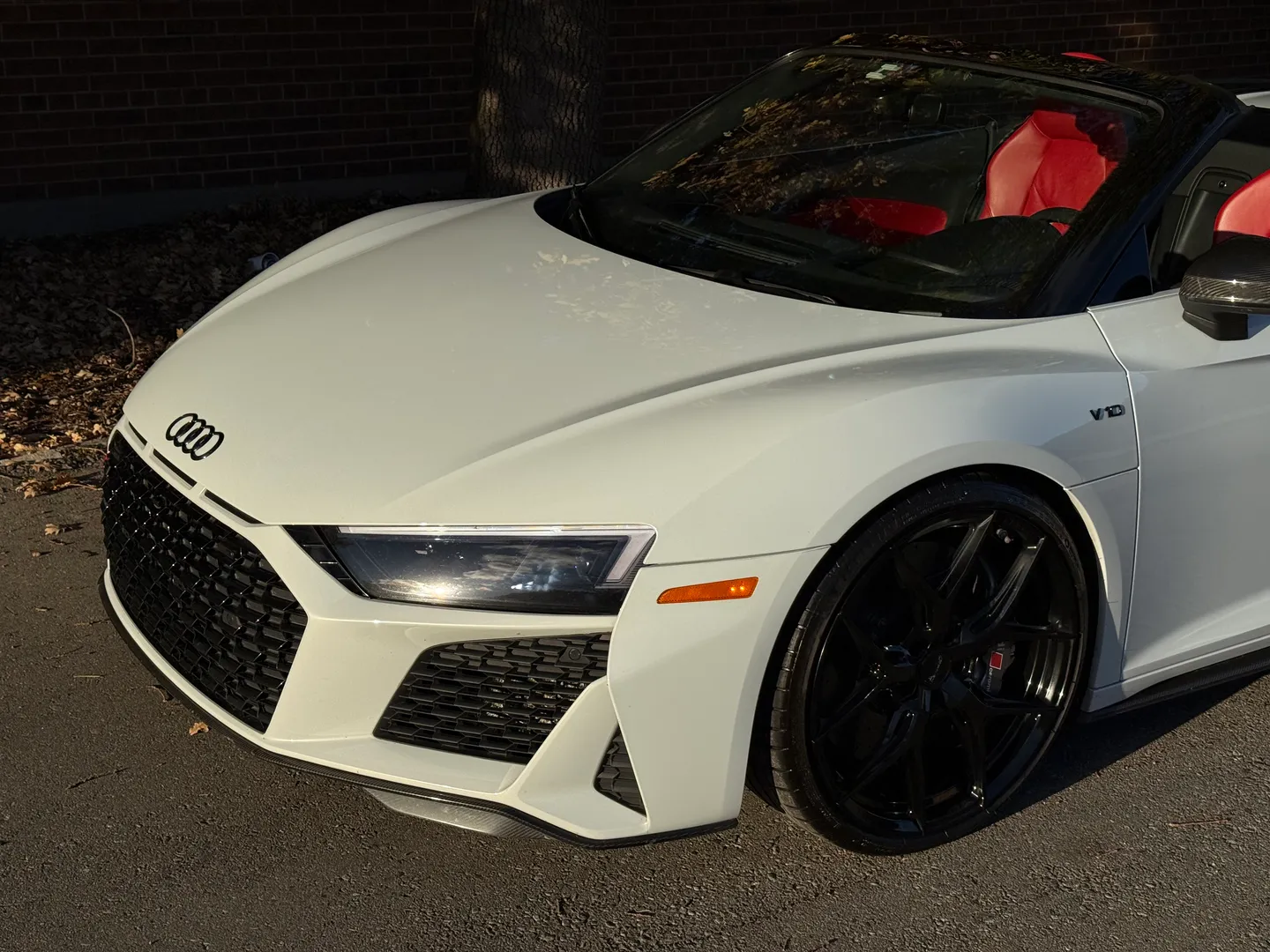 Audi R8 V10 Performance Plus Spyder — photo 7