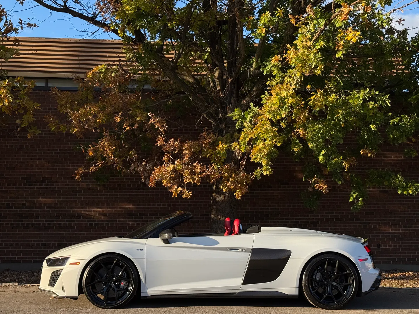 Audi R8 V10 Performance Plus Spyder — photo 10