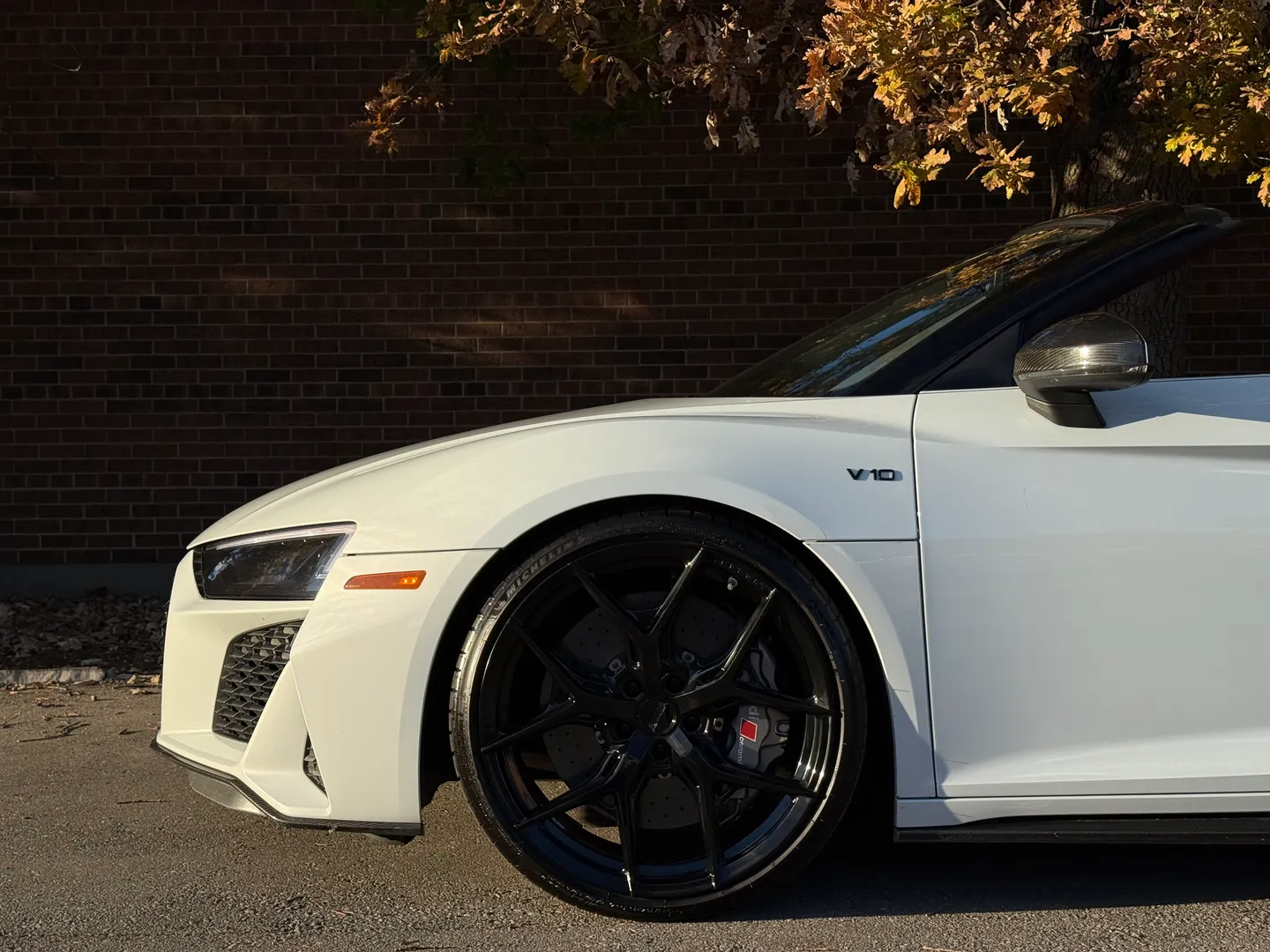 Audi R8 V10 Performance Plus Spyder — photo 11