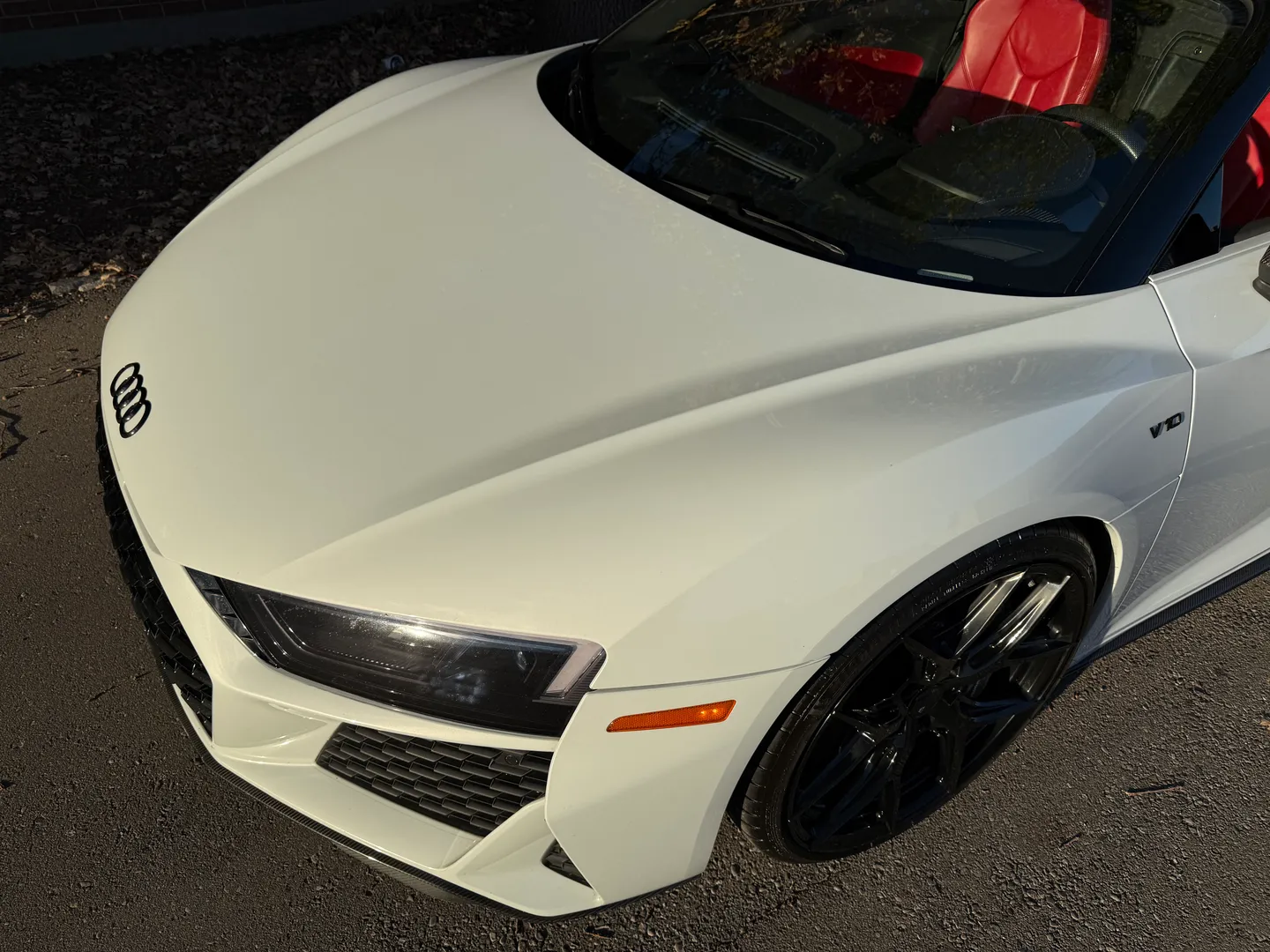 Audi R8 V10 Performance Plus Spyder — photo 15