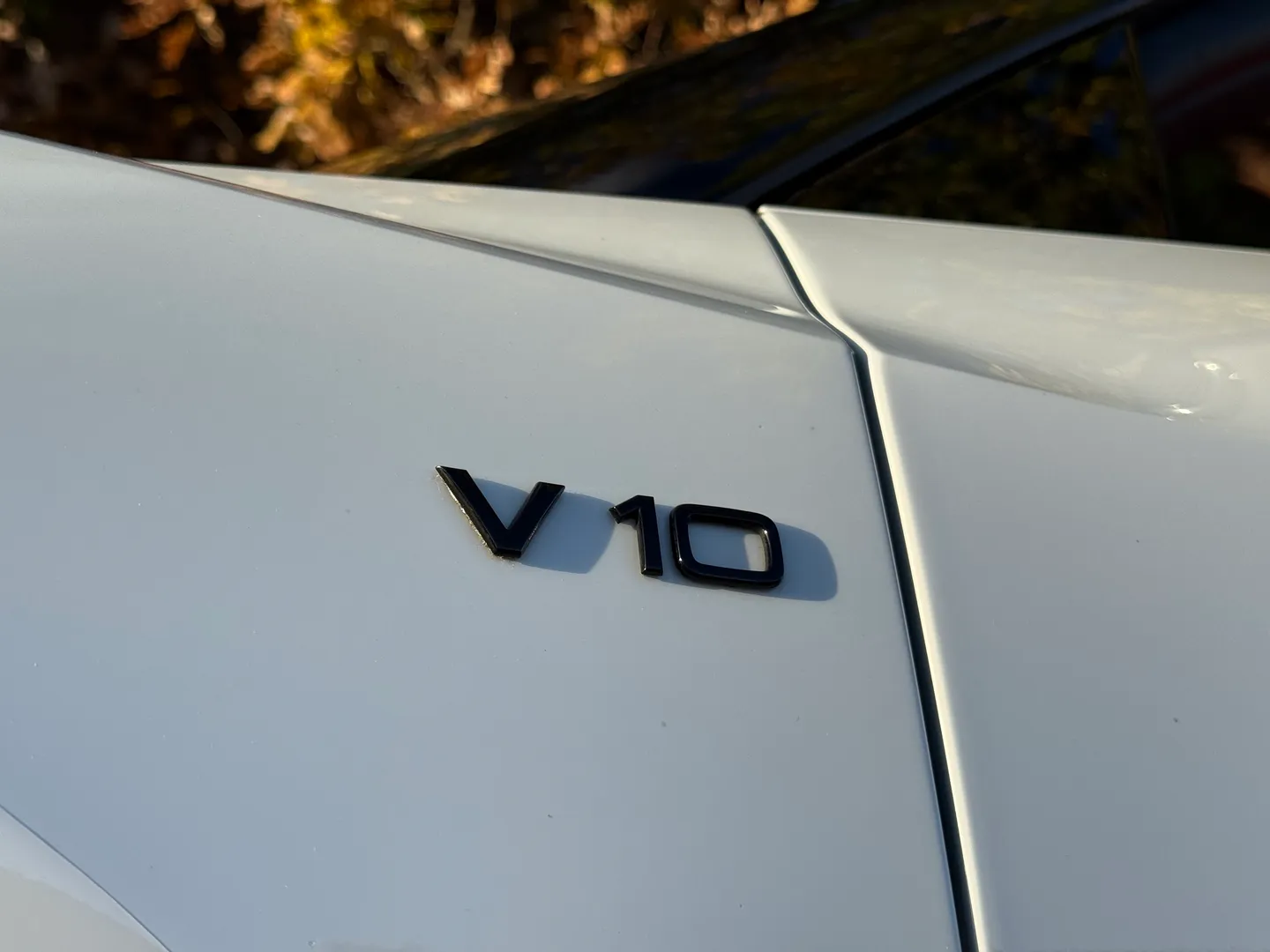 Audi R8 V10 Performance Plus Spyder — photo 18