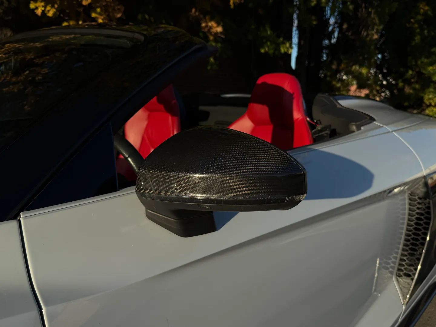 Audi R8 V10 Performance Plus Spyder — photo 17