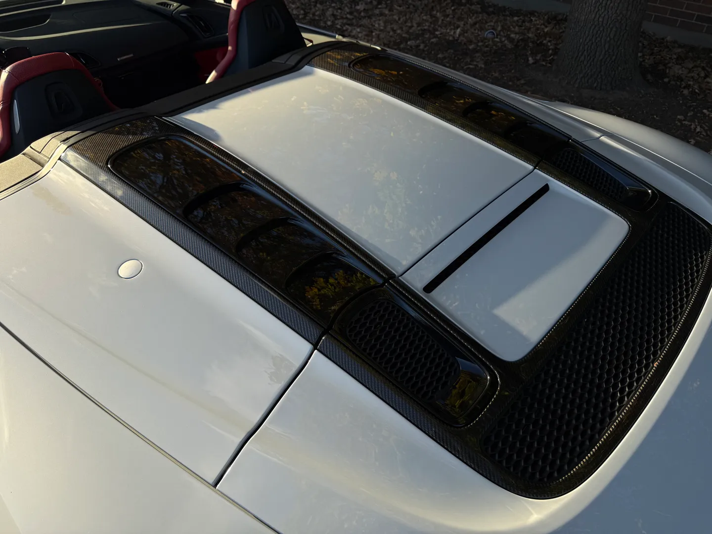 Audi R8 V10 Performance Plus Spyder — photo 19