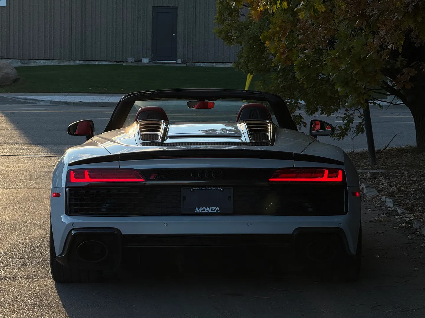 Audi R8 V10 Performance Plus Spyder — photo 23