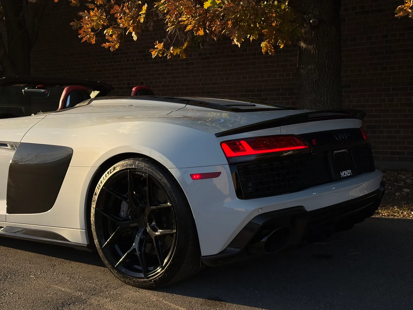 Audi R8 V10 Performance Plus Spyder — photo 22