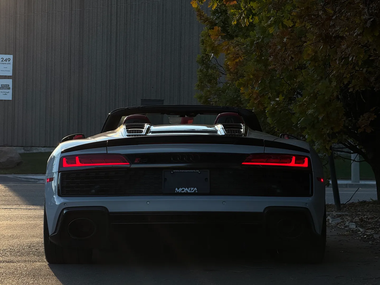 Audi R8 V10 Performance Plus Spyder — photo 24