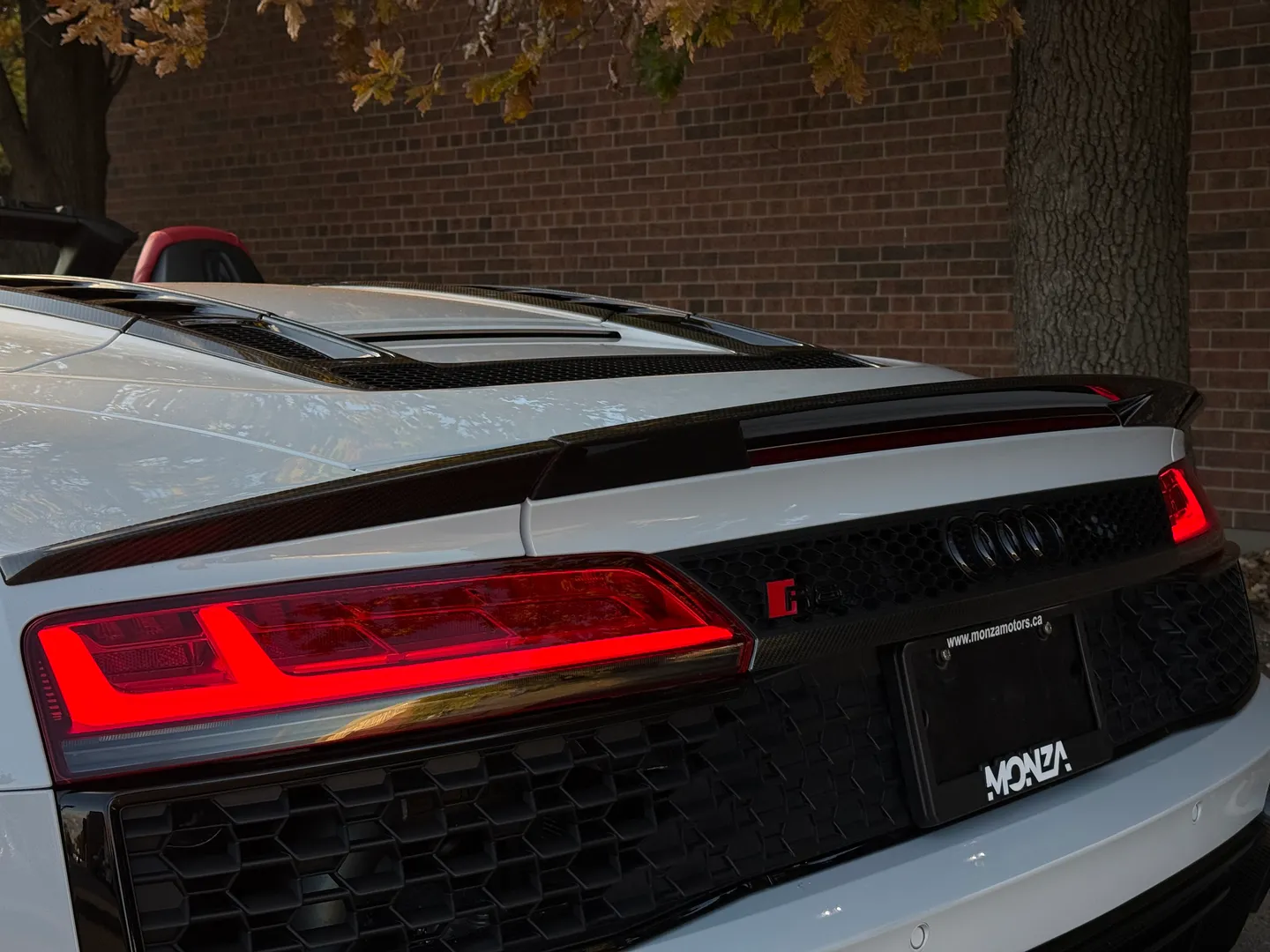 Audi R8 V10 Performance Plus Spyder — photo 29