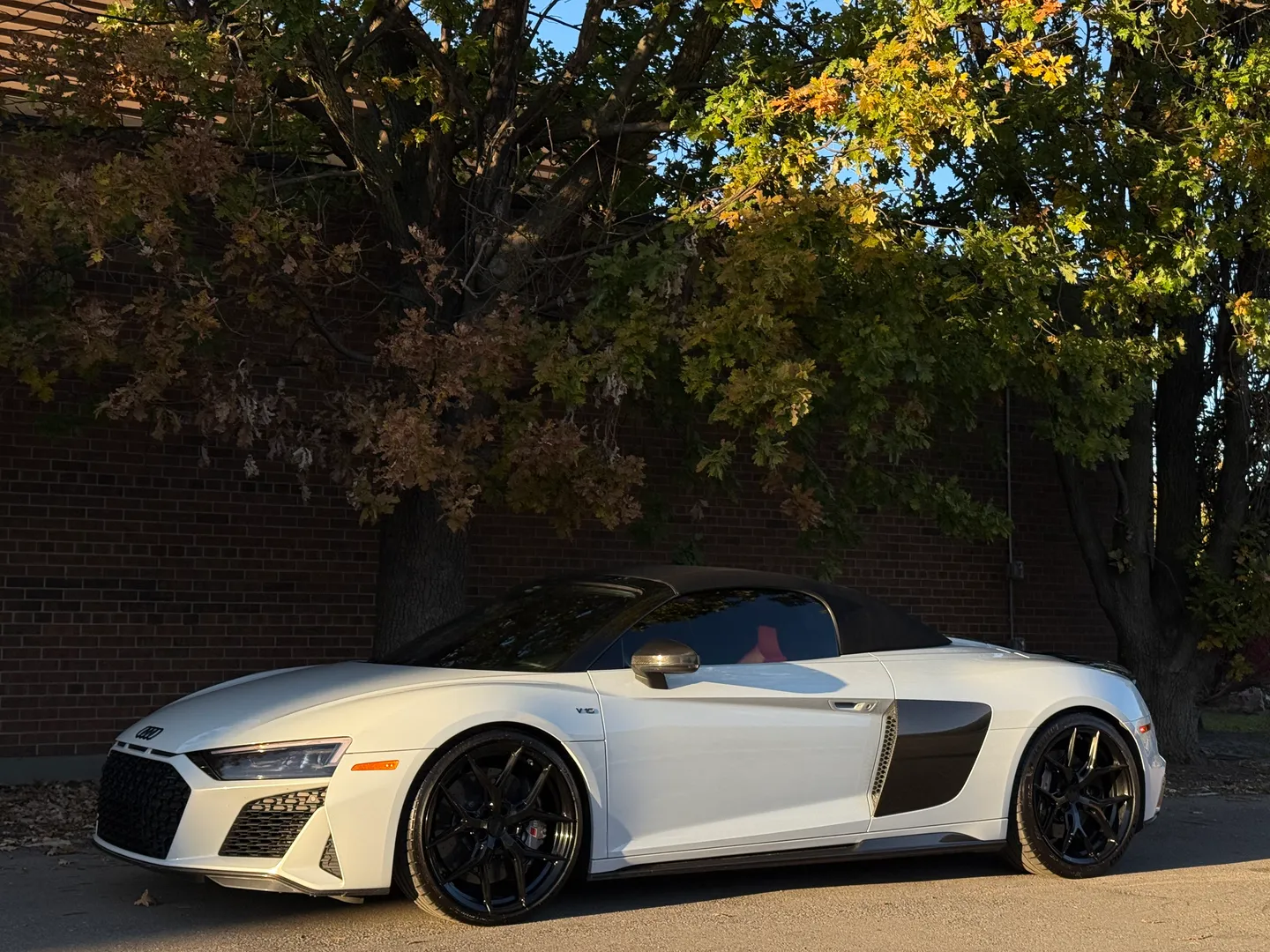 Audi R8 V10 Performance Plus Spyder — photo 34