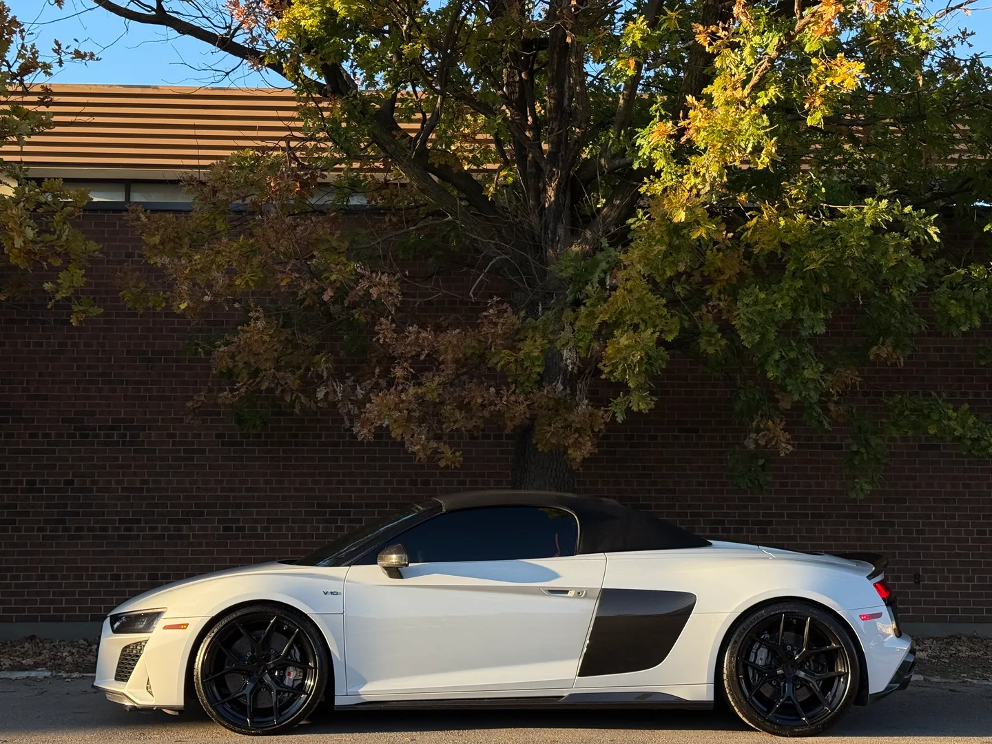 Audi R8 V10 Performance Plus Spyder — photo 35