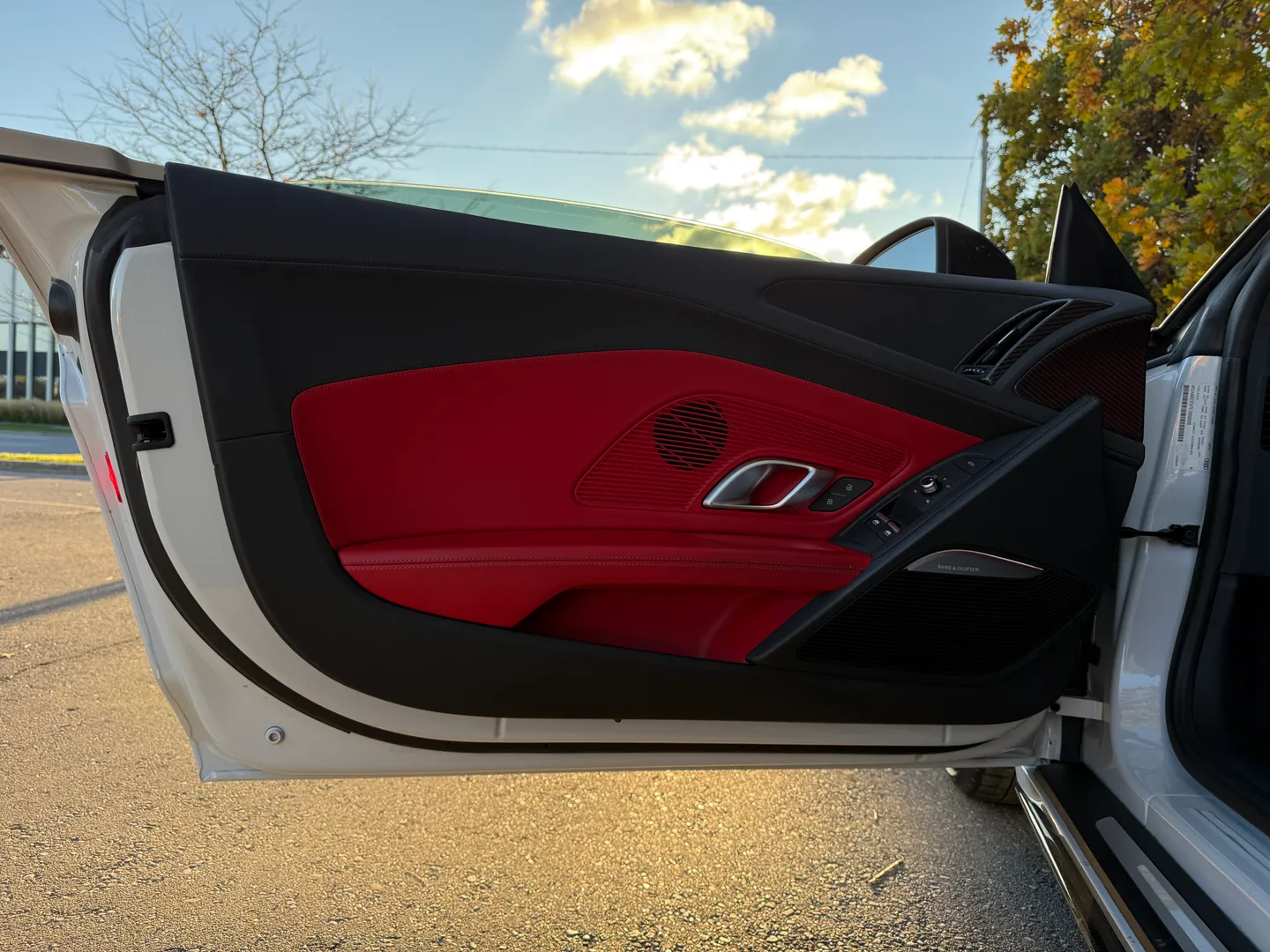 Audi R8 V10 Performance Plus Spyder — photo 45