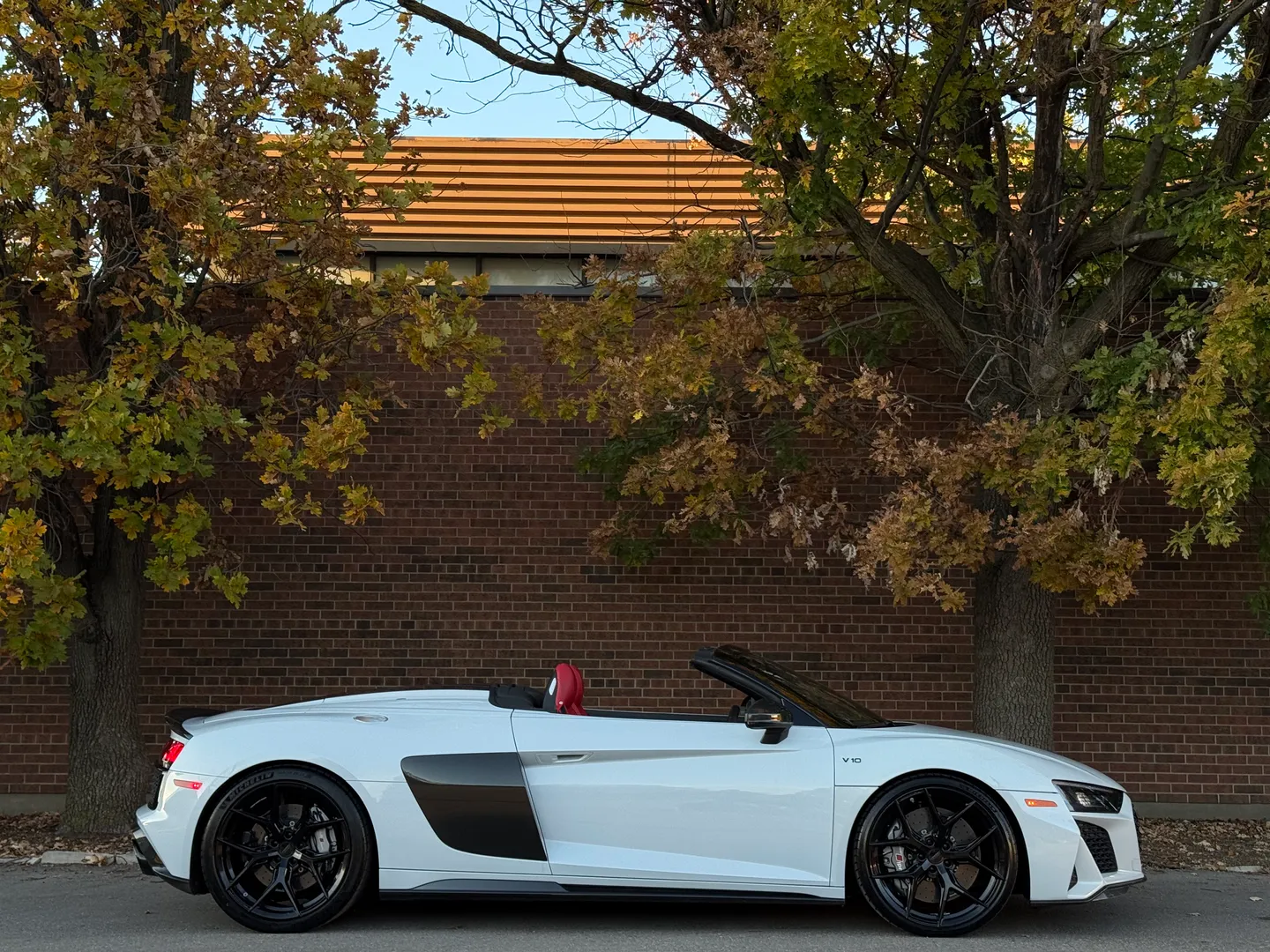 Audi R8 V10 Performance Plus Spyder — photo 88
