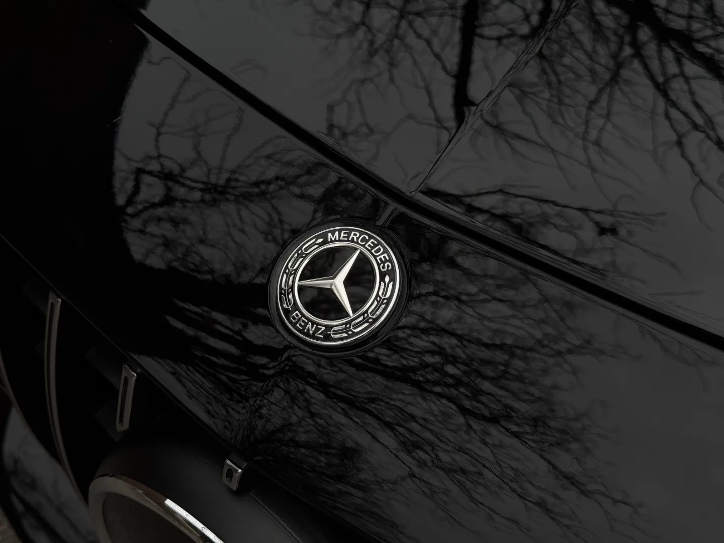 Mercedes Benz AMG GTR Coupe  — photo 8