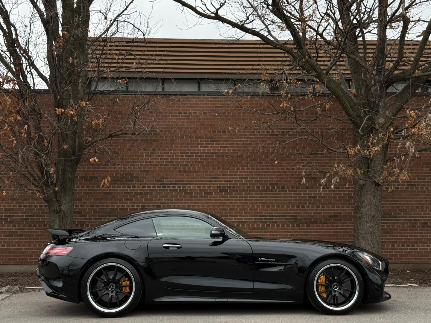 Mercedes Benz AMG GTR Coupe  — photo 86