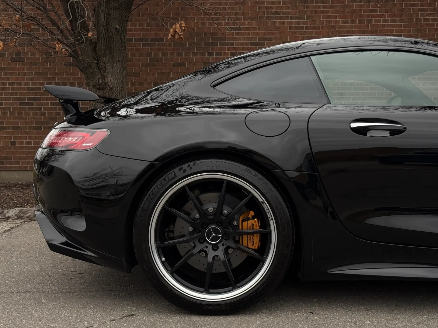 Mercedes Benz AMG GTR Coupe  — photo 87