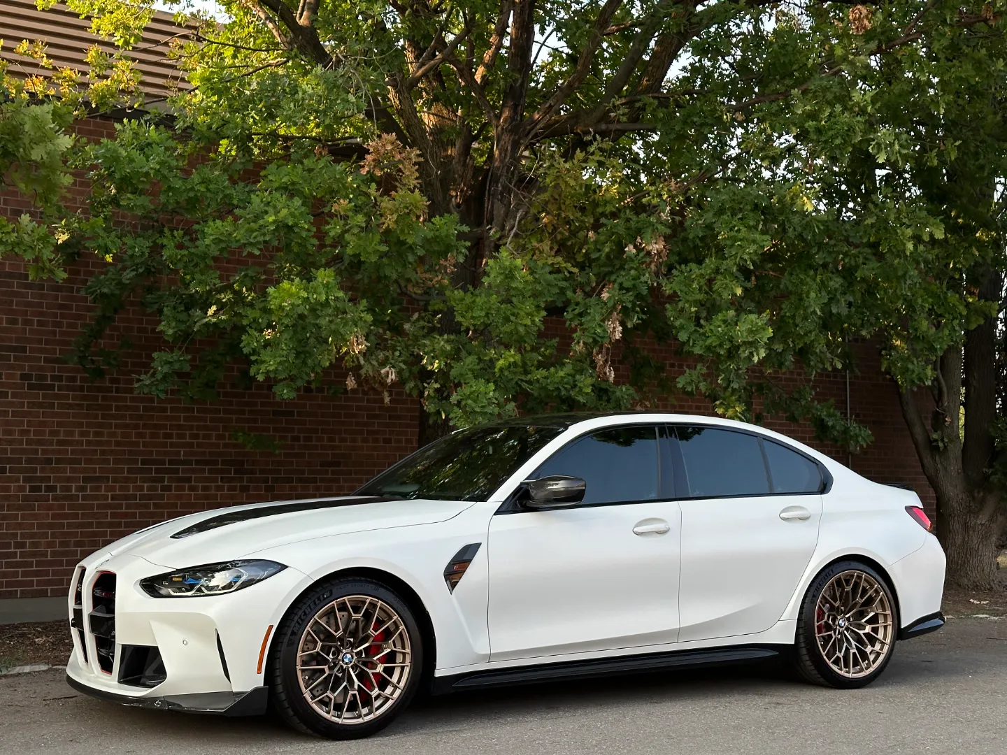 BMW M3 CS Full Body PPF — photo 12