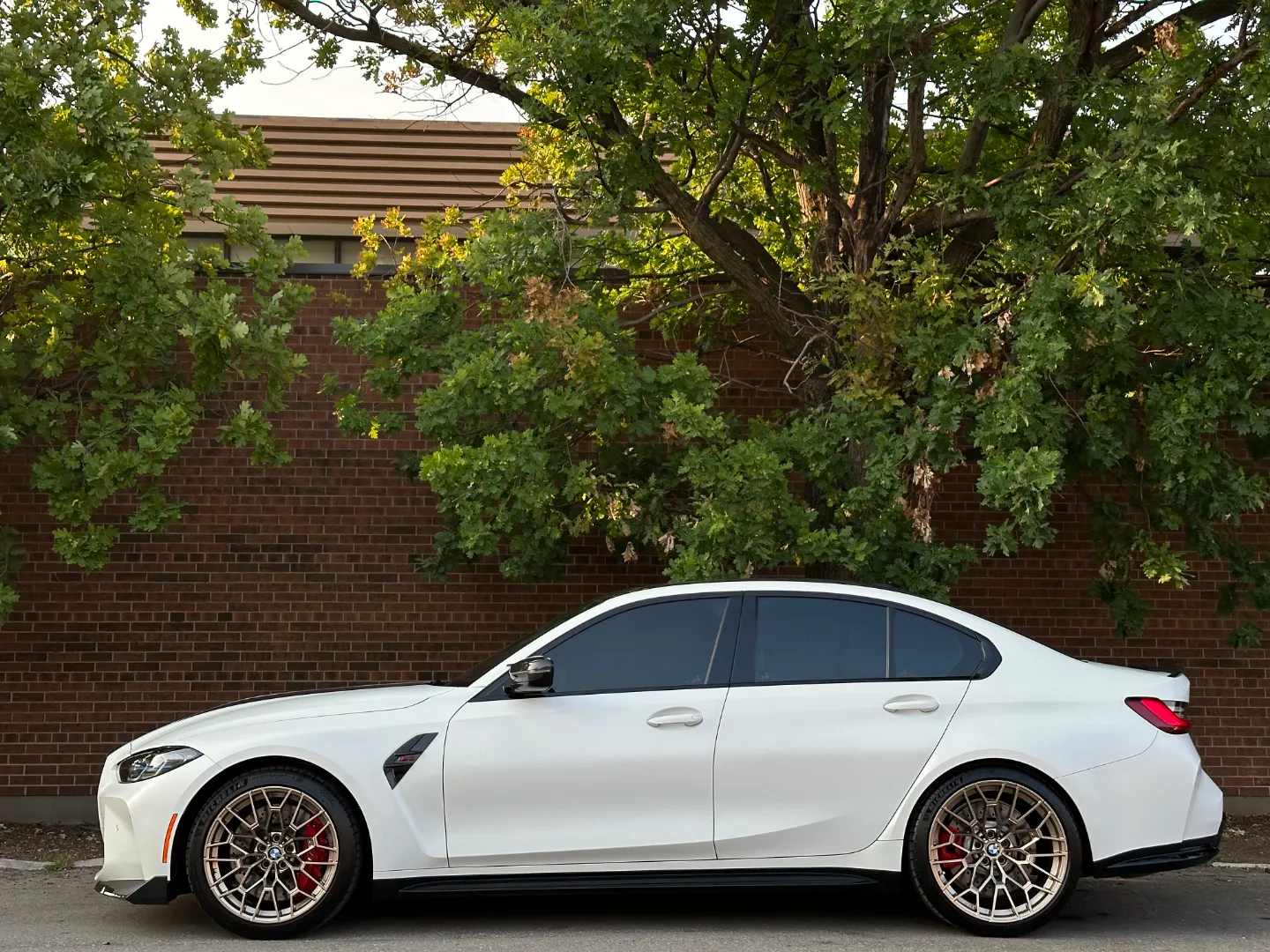 BMW M3 CS Full Body PPF — photo 14