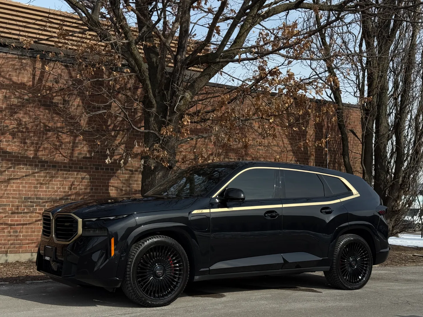 2023 BMW XM — photo 7