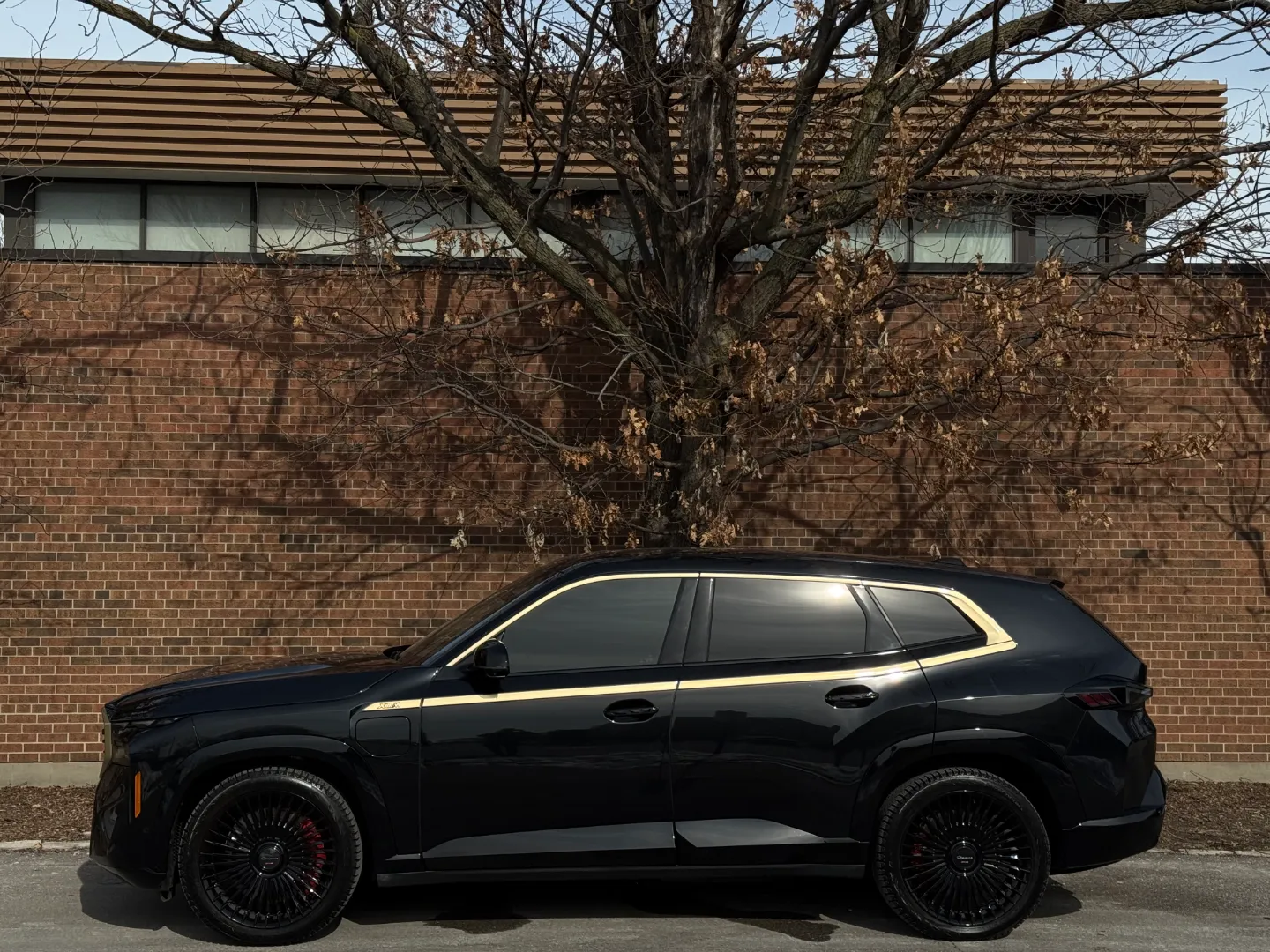 2023 BMW XM — photo 8