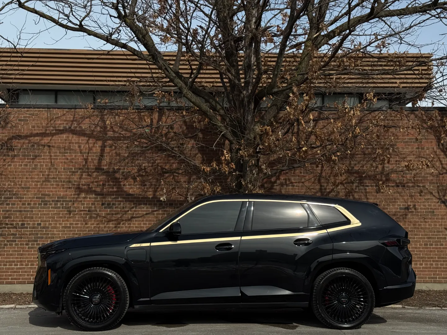 2023 BMW XM — photo 9