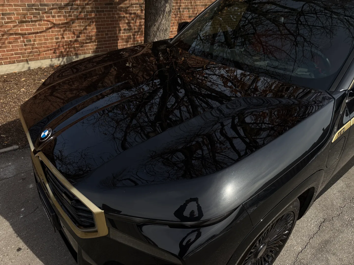 2023 BMW XM — photo 14