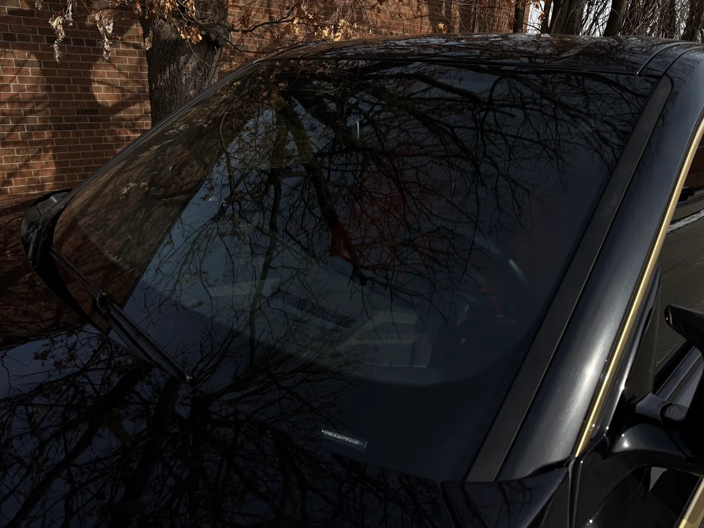 2023 BMW XM — photo 15