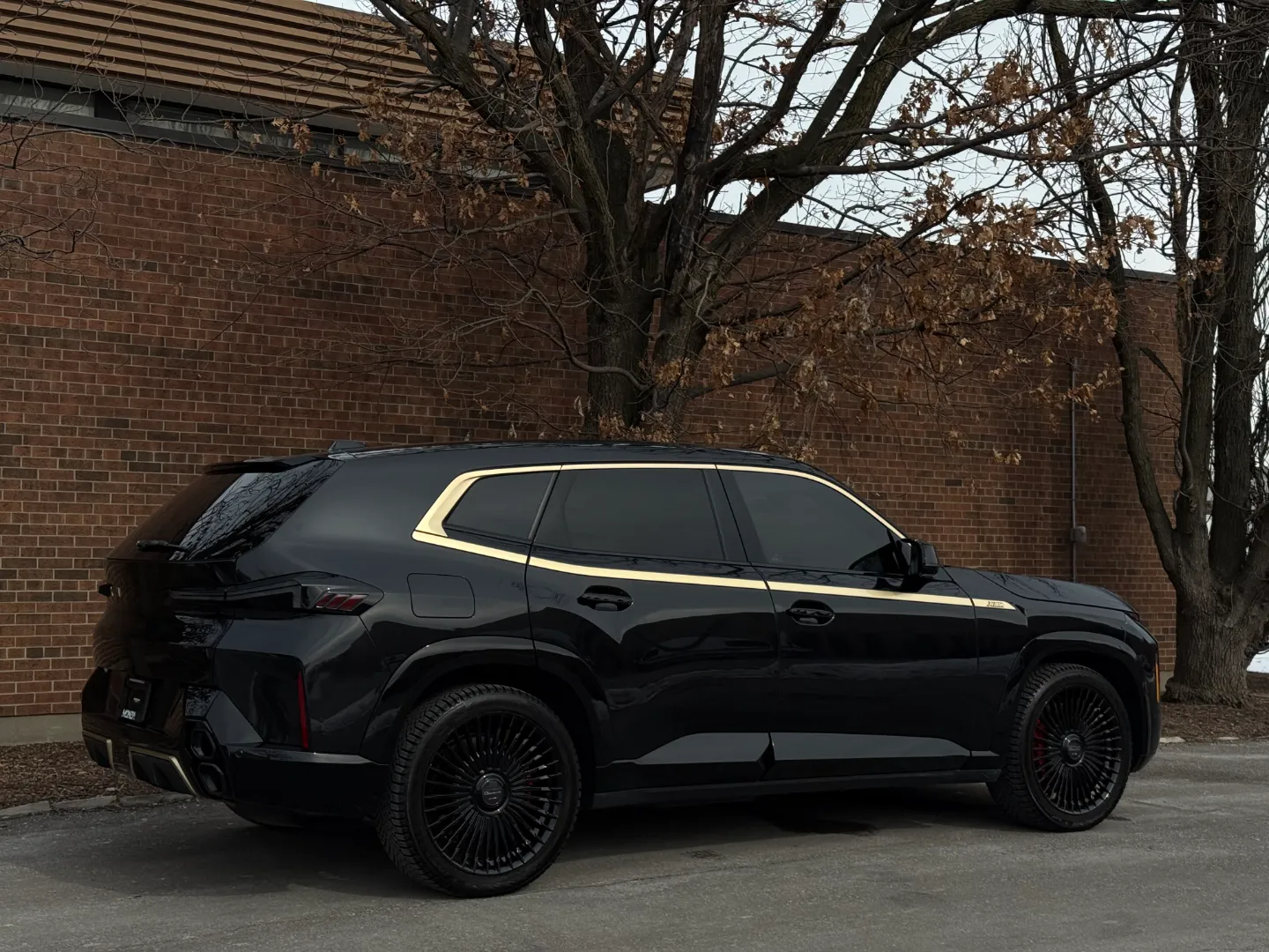 2023 BMW XM — photo 85