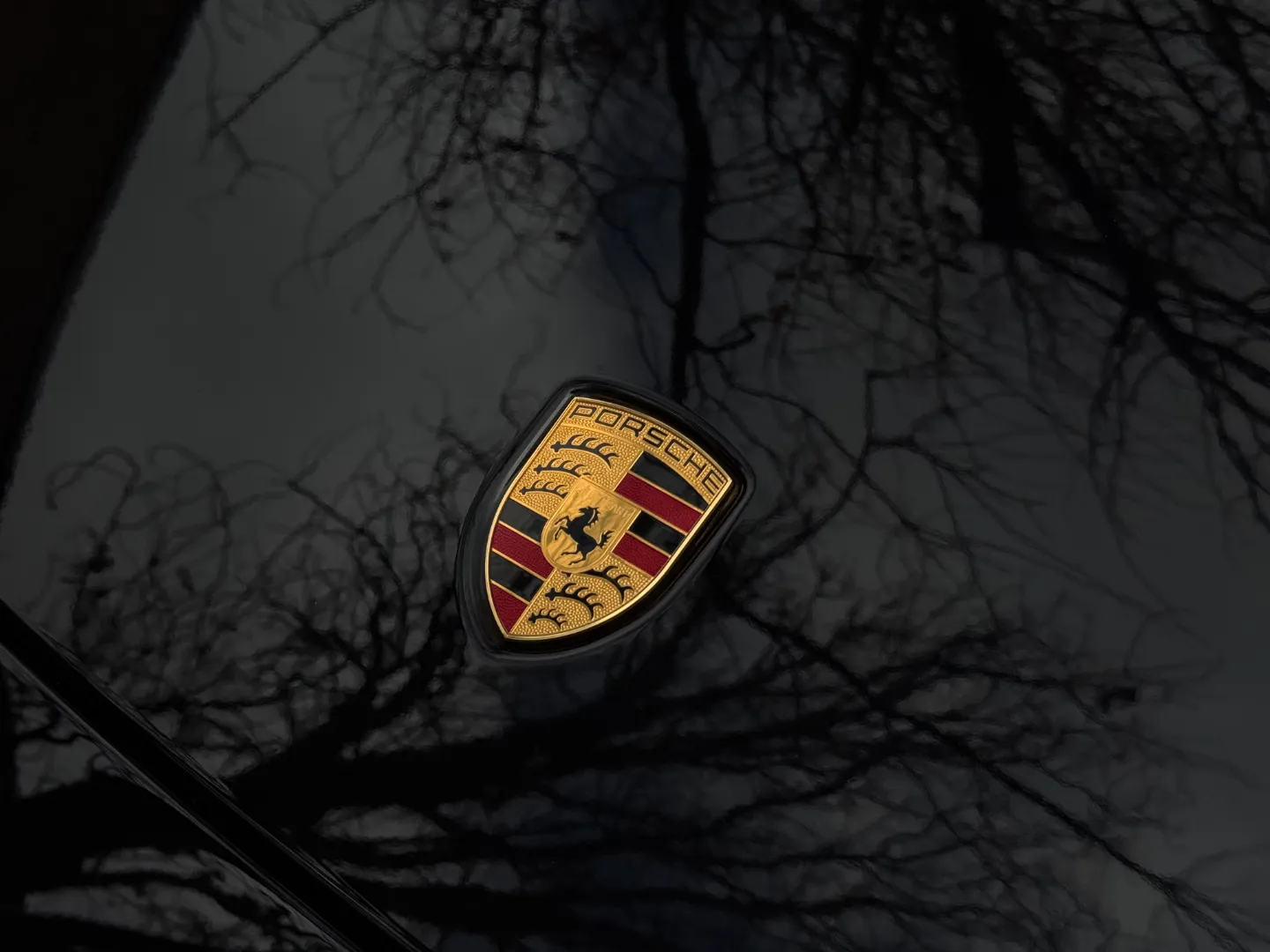 Porsche 911 Turbo Coupe — photo 8
