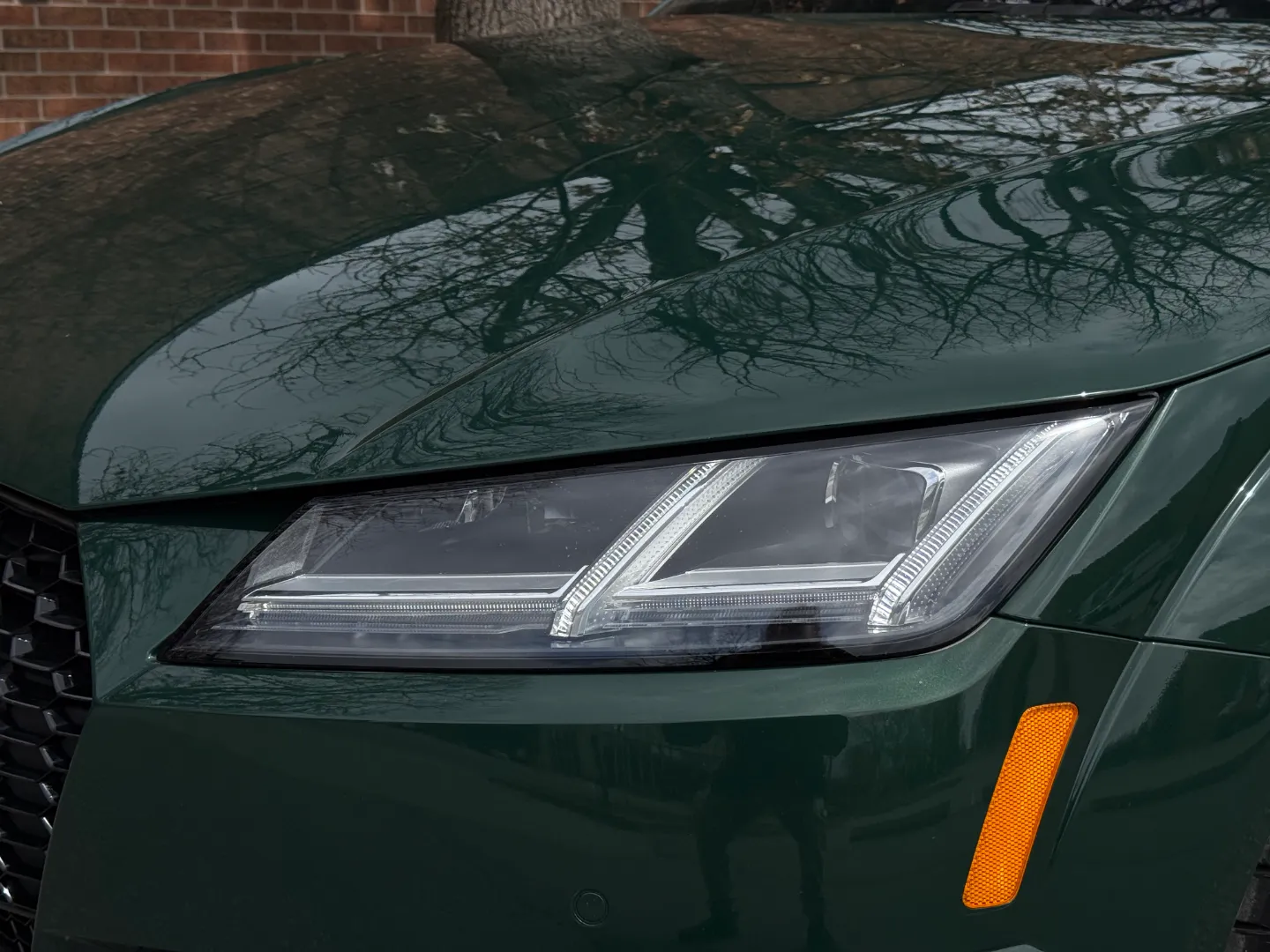 Audi TTRS Audi Exclusive Paint Goodwood Green Metallic — photo 7