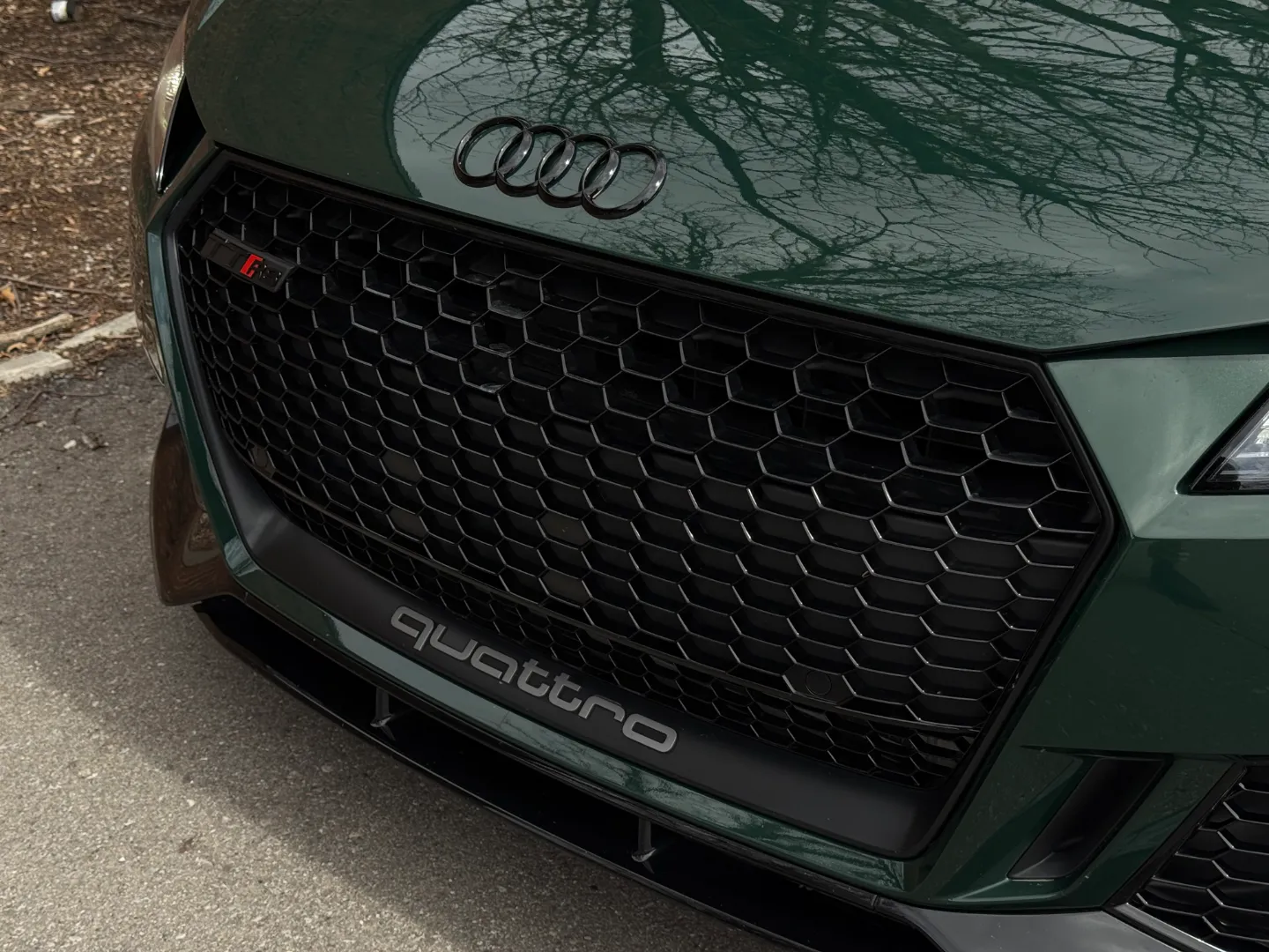 Audi TTRS Audi Exclusive Paint Goodwood Green Metallic — photo 8