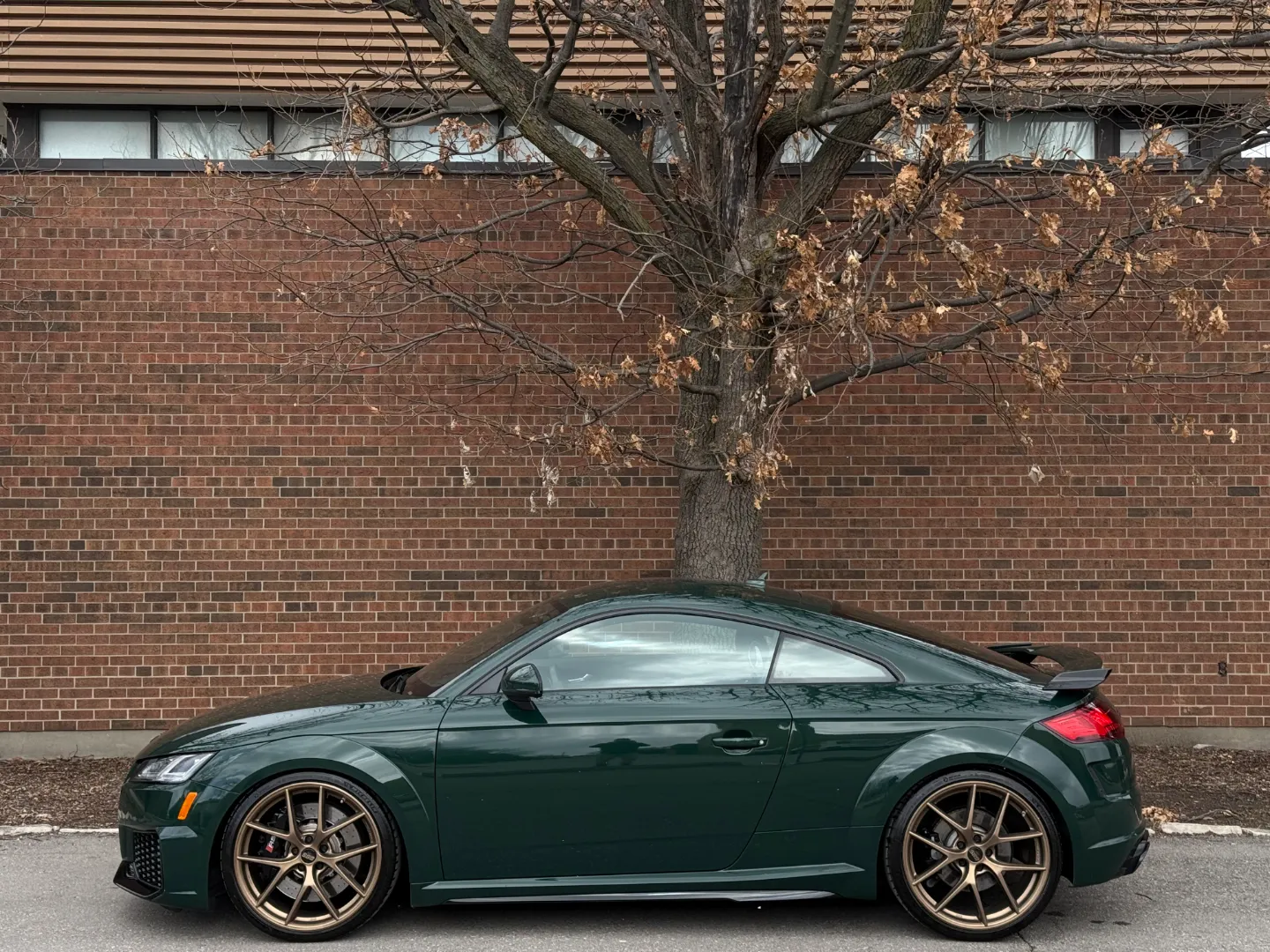 Audi TTRS Audi Exclusive Paint Goodwood Green Metallic — photo 11