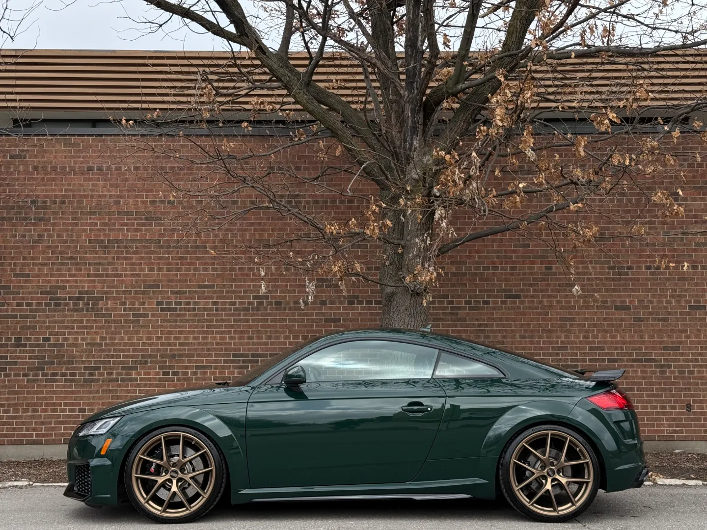 Audi TTRS Audi Exclusive Paint Goodwood Green Metallic — photo 12