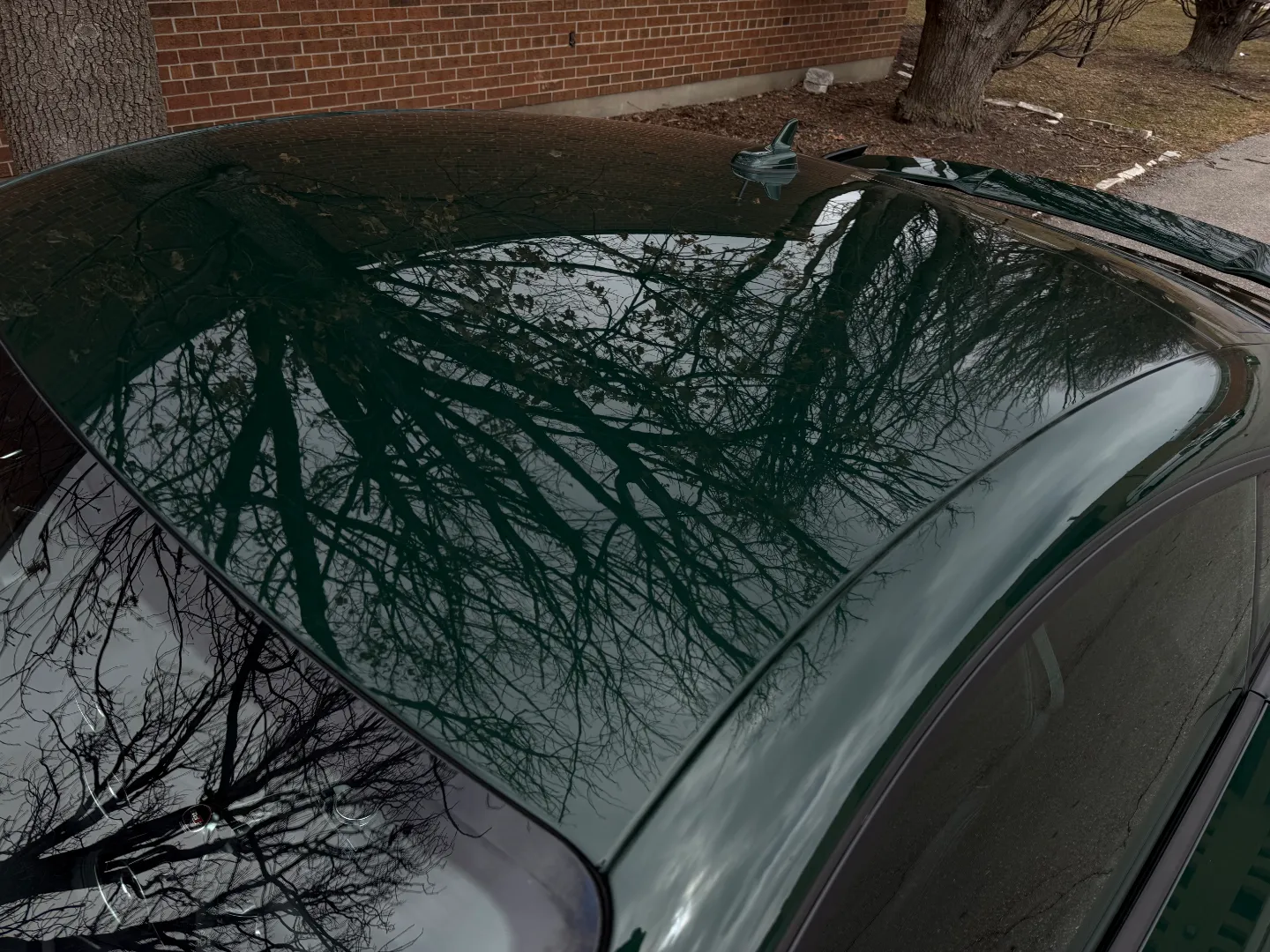 Audi TTRS Audi Exclusive Paint Goodwood Green Metallic — photo 21