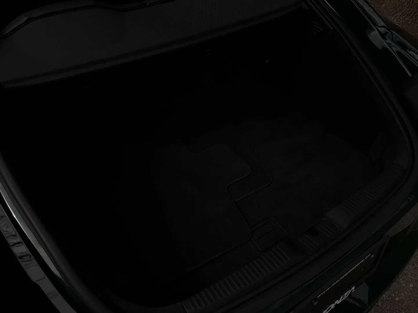 Audi TTRS Audi Exclusive Paint Goodwood Green Metallic — photo 32