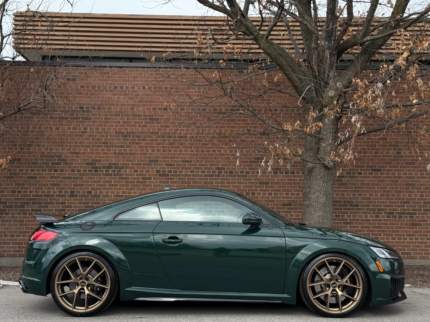 Audi TTRS Audi Exclusive Paint Goodwood Green Metallic — photo 89