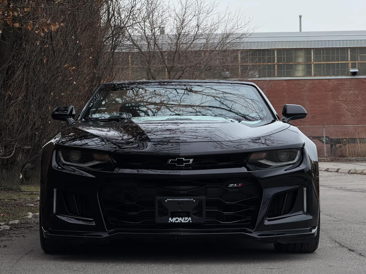 Chevrolet Camaro ZL1 Convertible 6 Speed Manual — photo 6