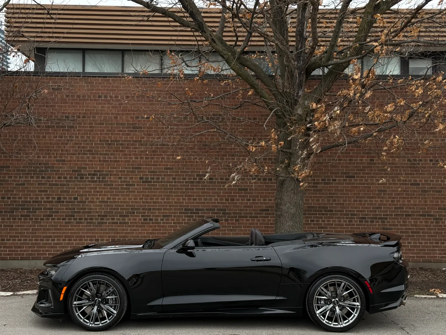 Chevrolet Camaro ZL1 Convertible 6 Speed Manual — photo 11