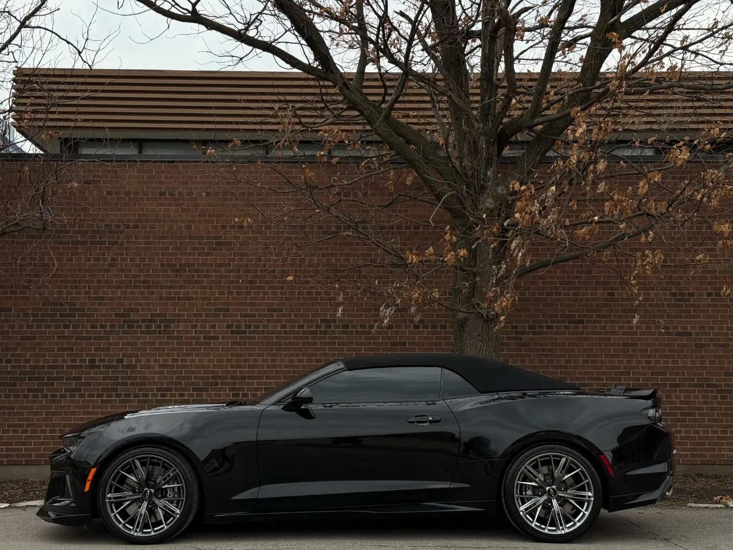 Chevrolet Camaro ZL1 Convertible 6 Speed Manual — photo 39