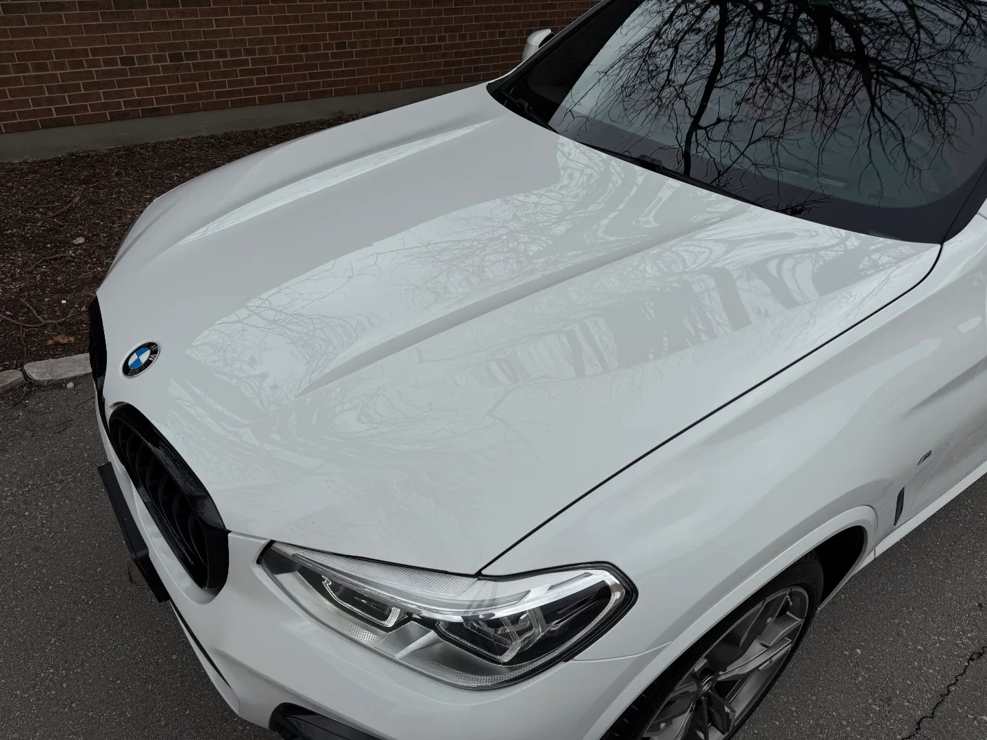 BMW X4 M40i  — photo 15