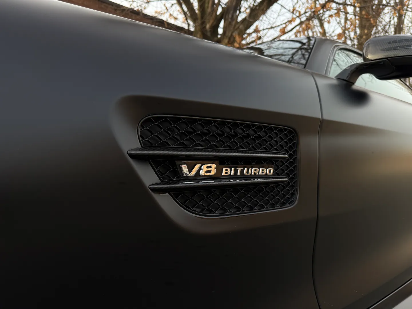 Mercedes Benz AMG GTC Coupe — photo 20
