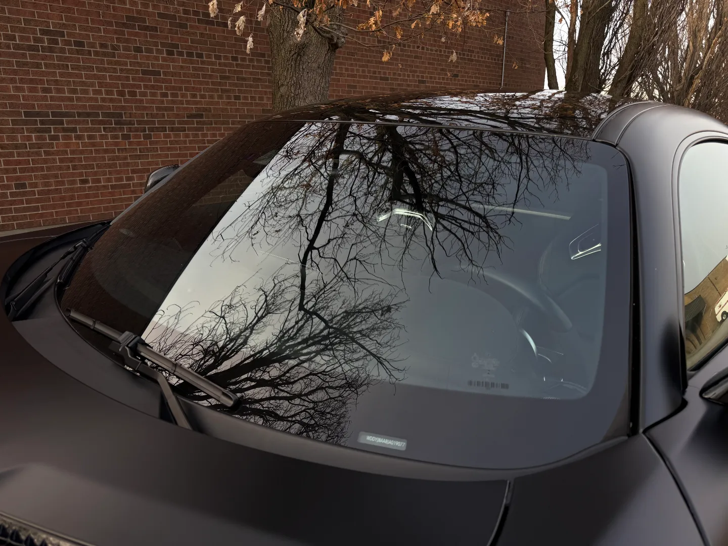 Mercedes Benz AMG GTC Coupe — photo 21